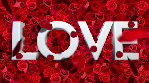Love with falling petals Stock Footage 41437227