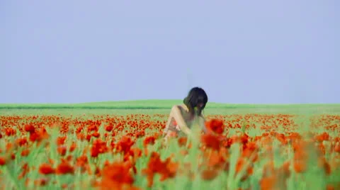 Love on field Stock-Footage 22459080