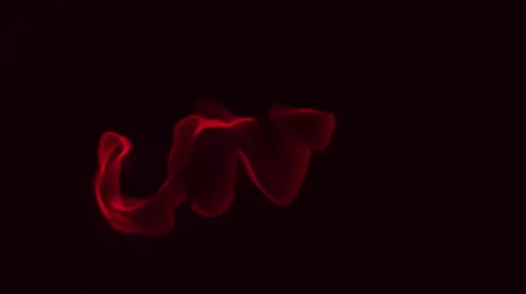 Love on fire Stock Footage 60138344