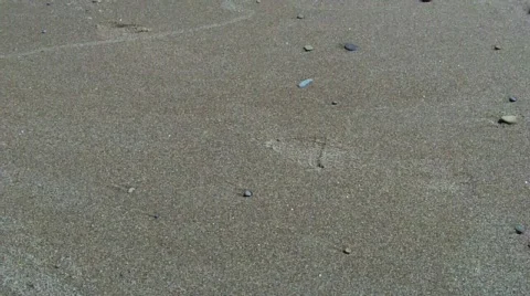 Love Stock Footage 396565