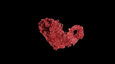 Love 库存影片 38094159