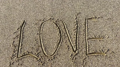 Love Stock Footage 167365329