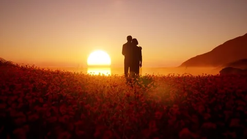 Love... Stock Footage 196146234
