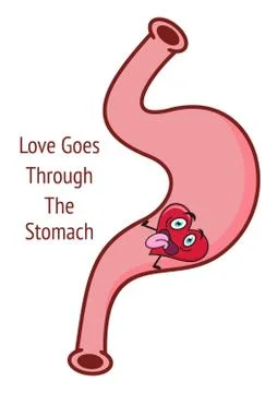 Love goes through the stomach vector colorful cartoon Illustration