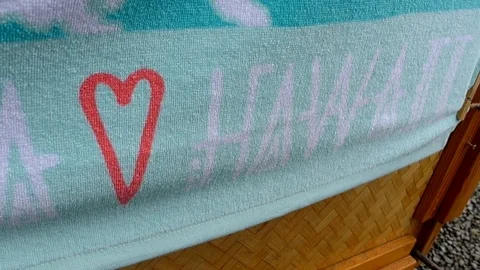 Love Hawaii Stock Footage 105196010