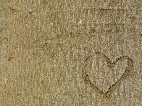 Love heart Stock Photos