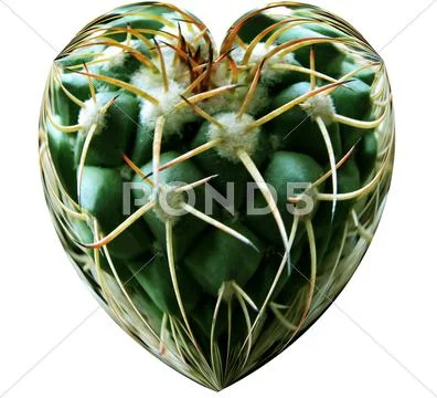 Love hurts Stock Photos