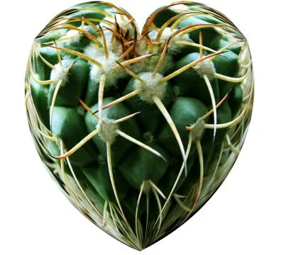 Love hurts Stock Photos