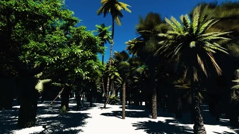 Love island Video stock 84083747