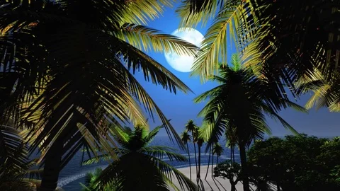 Love island at night Video stock 84083264