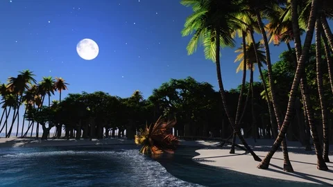 Love island at night Stock Footage 84084651