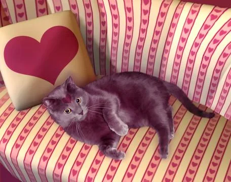 Love Kitty Illustrazione stock