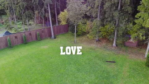 Love lettering Stock Footage 118617450
