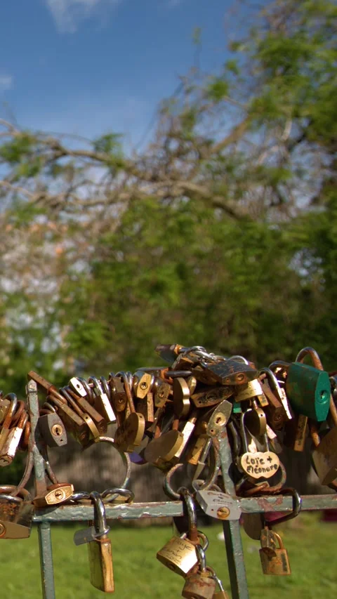 Love Locks on Bridge with Notre Dame Cathedral in Paris 스톡 동영상 344619905