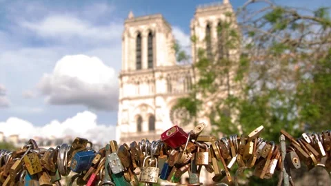 Love Locks on Bridge with Notre Dame Cathedral in Paris Stock Footage 345015656