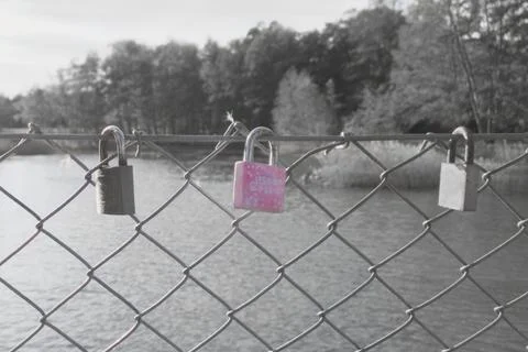 Love locks on a bridge Stock Photos