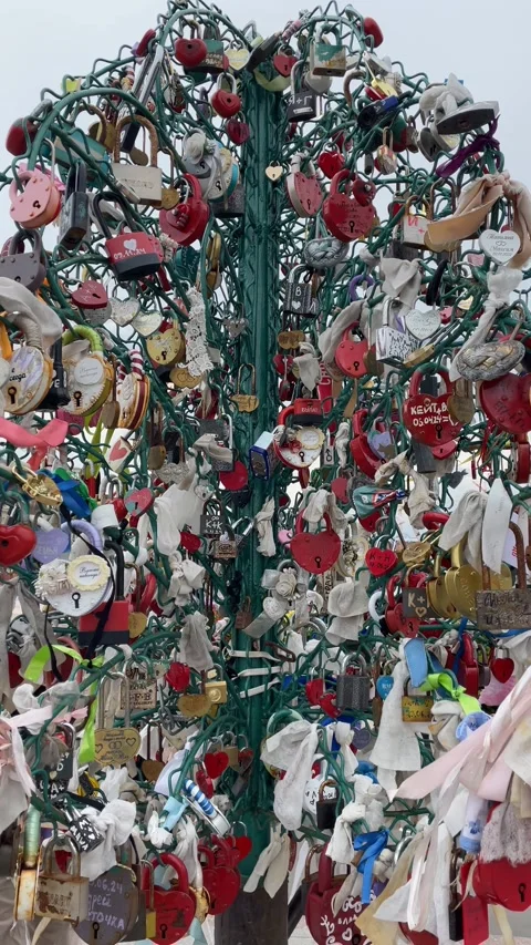Love locks on metal tree, symbolizing eternal love and commitment, popular .. 스톡 동영상 311652348