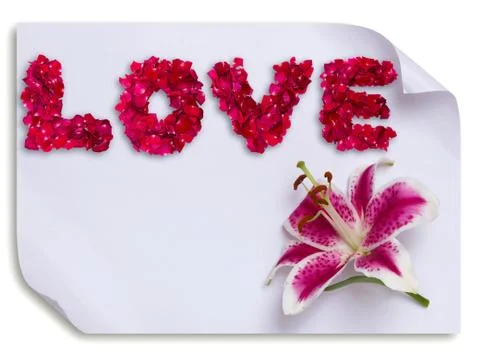 Love made from red rose petals and lily flower on paper 写真素材