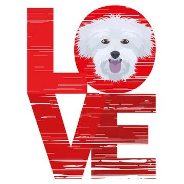 Love Maltese. Stock Illustration