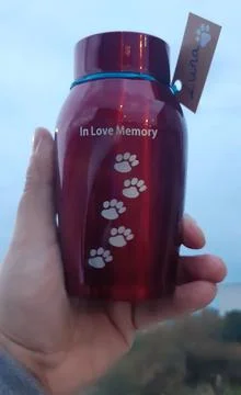 In love memory Stock Photos