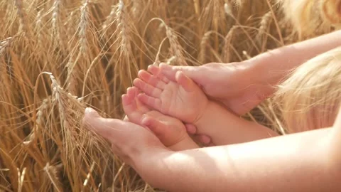 Love of nature, harvest of future bread Stock Footage 157511202