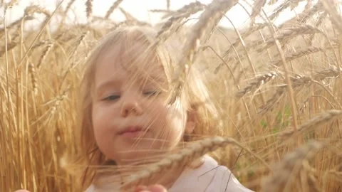 Love of nature, harvest of future bread Stock Footage 157511289