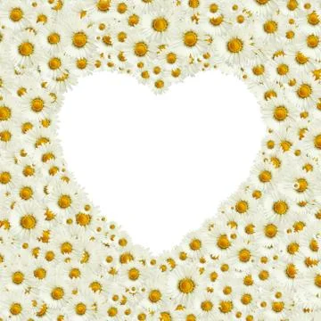 Love for nature Stock Illustration