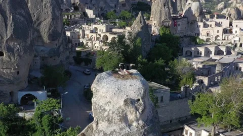 Love in the nest Stock Footage 201240744