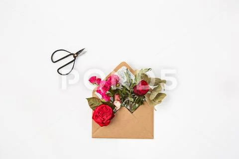 Love or valentine's day concept. Red beautiful roses in envelopen Stock Photos