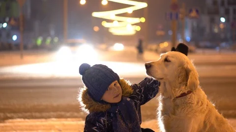 Love for pets. little boy stroking his dog outdoors in winter in the evening Stock Footage 120976011