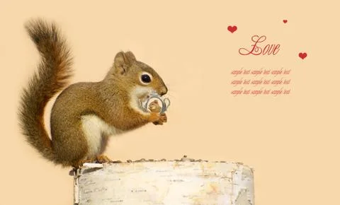 Love. Stock Photos