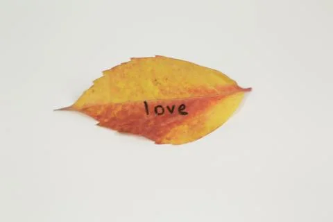 Love the post on the leaf Stock Photos