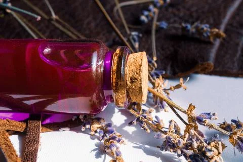 Love potion, lavender on top of a notebook Stock Photos