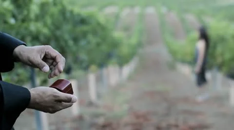 Love Proposal Video stock 10857388