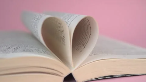 Love to reading books Stock Footage 248060846