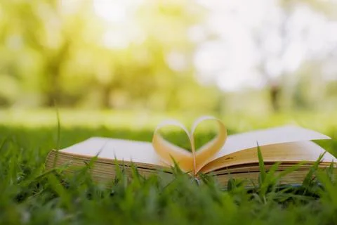 Love reading for wisdom and knowledge concept, Opening book with heart shap.. Fotos de archivo
