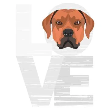 Love Rhodesian Ridgeback. Stock-Illustration