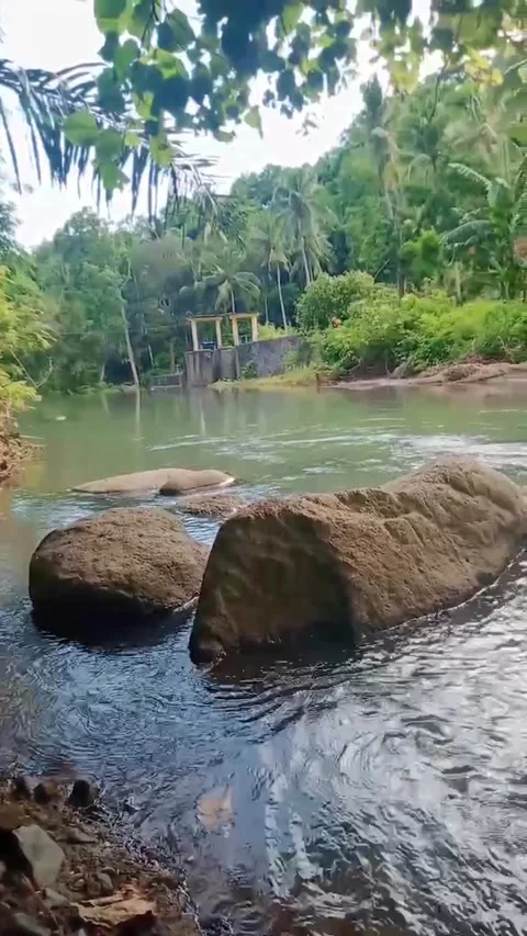 Love river Stock Footage 235536340