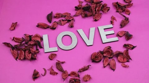 Love rose background Stock Footage 262557651