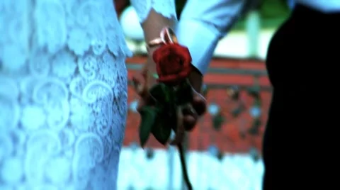 Love Rose Stock Footage 7750721