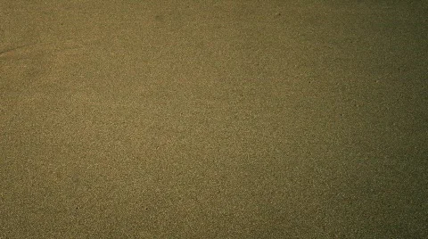 Love in the sand Stock Footage 319290