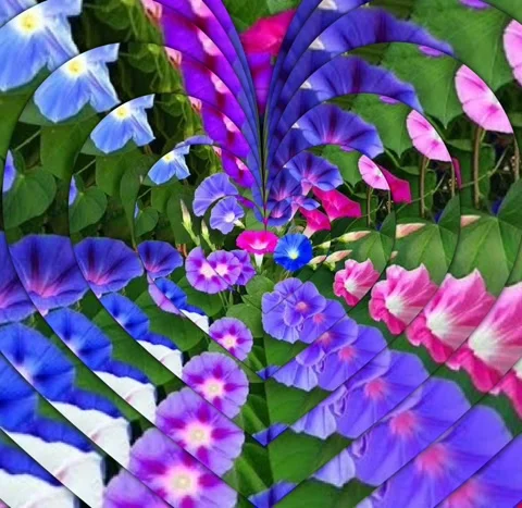 Love shape floral pattern design background Stock Footage 227317016