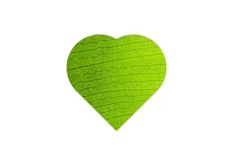 Love shape green leaf Illustrazione stock