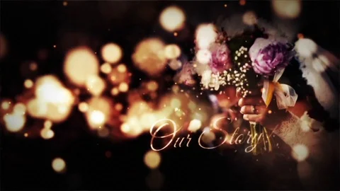 Love Story Romantic Pack After Effects stock