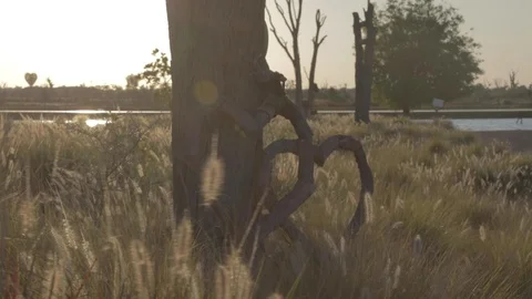 Love symbol Stock Footage 126573079