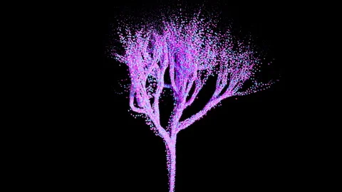 Love Tree 01 Stock Footage 285390846