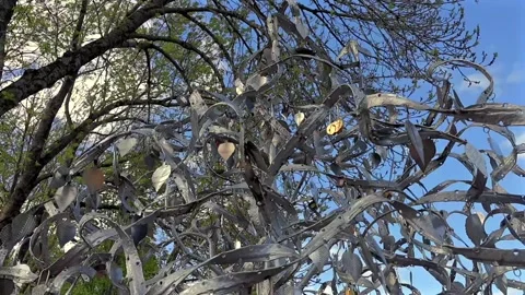 Love Tree Sculpture Close Up Stock Footage 336497618