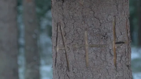 Love Tree_2 Stock Footage 122427642