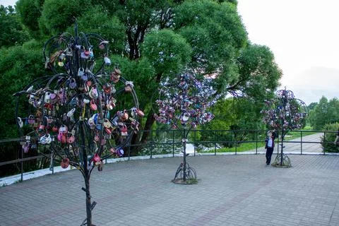 "love" trees with locks Stock Photos