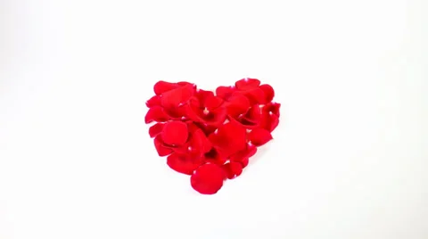 Love: Valentine's Day Stock Footage 33533481